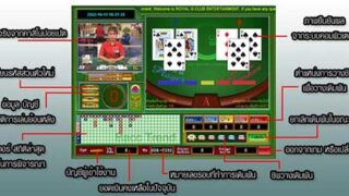 คู่มือเด็กใหม่ หัดเล่นเกมบาคาร่าออนไลน์