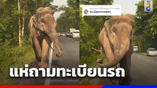 จากผู้ประสบภัยกลายเป็นคนใบ้หวยเลขเด็ด เลขดัง มาแล้ว