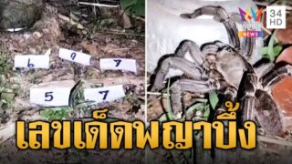 พญาบึ้งจับเลขเสี่ยงทาย ทำพิธีแจกโชคแล้ว 2 งวด