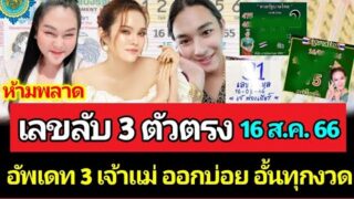 หวยใบเขียว 3 เจ้าแม่คนดัง งวด 16 ส.ค. 66 เข้าเต็มเต็ง งวดนี้ต้องมา