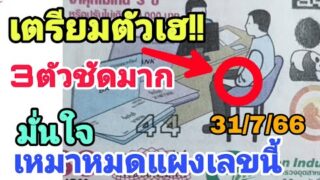 ส่องเลขเด็ดเห็นเต็มตา สามตัวตรง – ปกสลากงวดนี้31/7/66