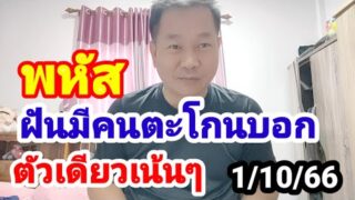 พหัส#ฝันดี มีคนเข้าฝันมากบอกตัวเดียวเน้นๆ#1/10/66
