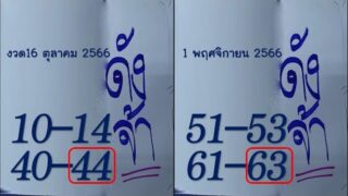 เลขดังมาแรง รับโชคได้ทุกงวด เลขเด่น ล่าง งวดที่16 พฤศจิกายน 2566