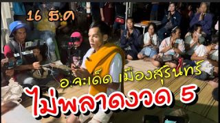 ลุ้น!!! เลขเด็ดอาจารย์จะเด็ดเมืองสุรินทร์ รับโคก่อนปีใหม่