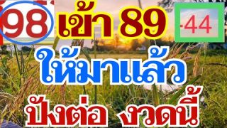 เลขสวย เด่น 89 ให้มาแล้ว ปังต่องวดนี้ 17 ม.ค. 67