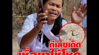 เรื่องแปลก เชื่อมาให้โชค ตีเลขเด็ดงวด 16 มีนาคม เลขเด่น เลขเด็ด