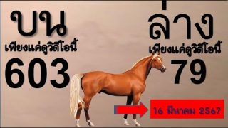 หวยไทย เลขเด็ด เลขดัง ม้านำโชค เลขเด็ด งาดนี้ลงให้แล้ว ดูเลย เลขเด็ดชุดเดียว 16 มีนาคม 2567