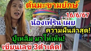 ฝันล่าสุด!ปู่เหลิมมาให้เห็นใต้ต้นมะขามยักษ์ เลขงวด 16/06/67